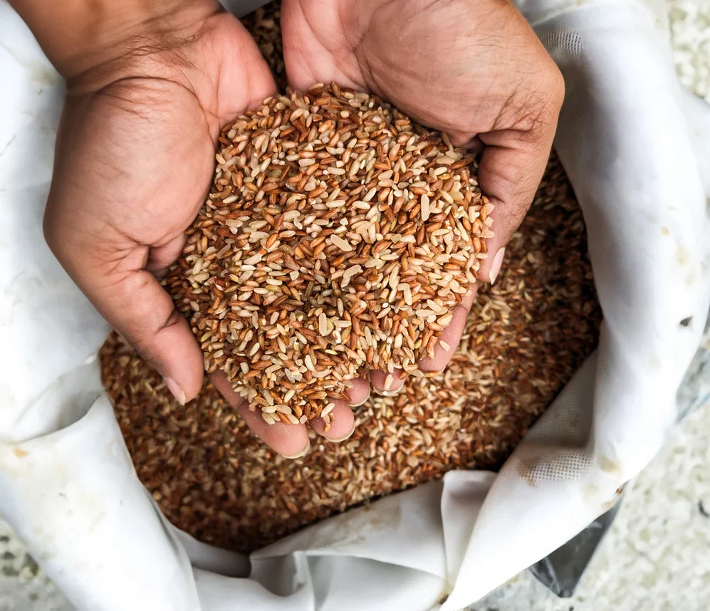 Rajamudi Rice Image 2