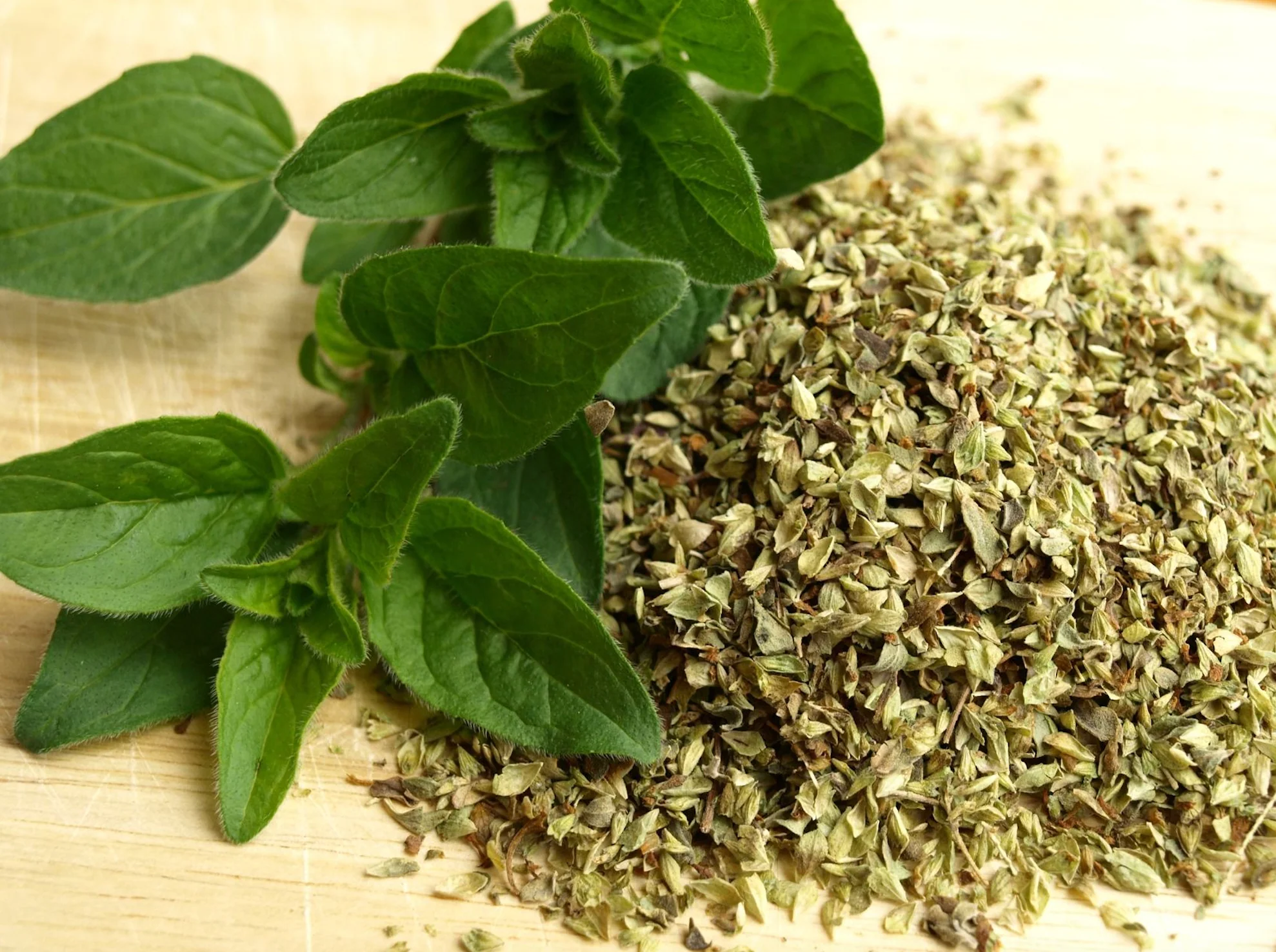 Oregano Seasoning