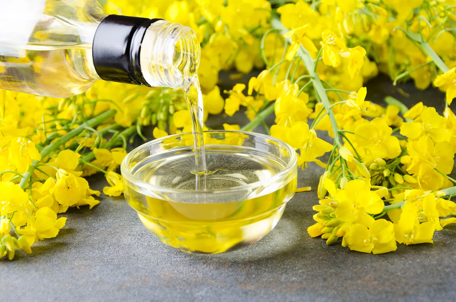 Canola Oil Image 2