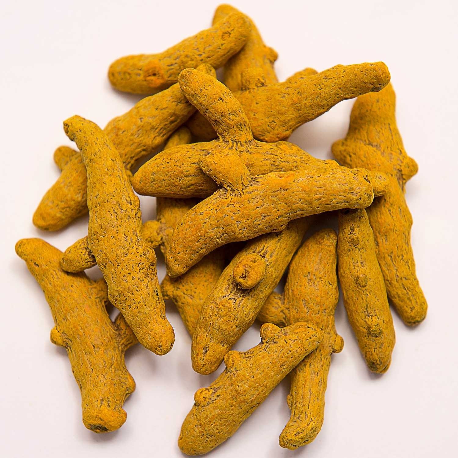 Erode Turmeric Fingers Image 2