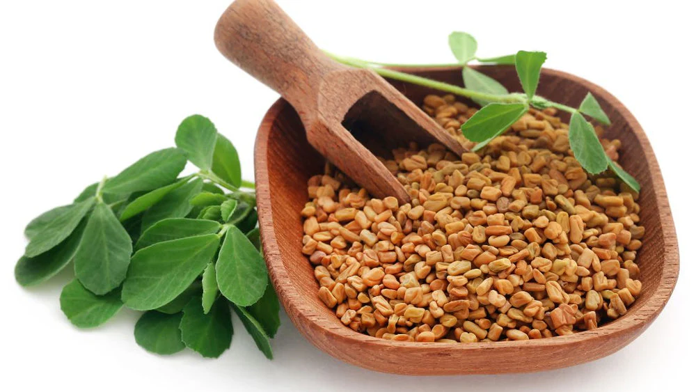 Fenugreek Seeds Image 2