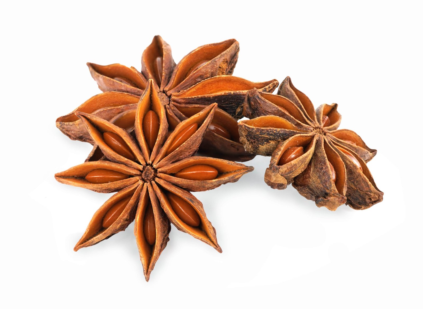 Star Anise Image 1